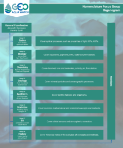 NFG Organogram